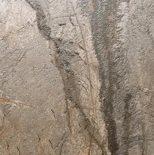 Revigres, Silver Roots, 311B13Q641_SilverRootsMattRet