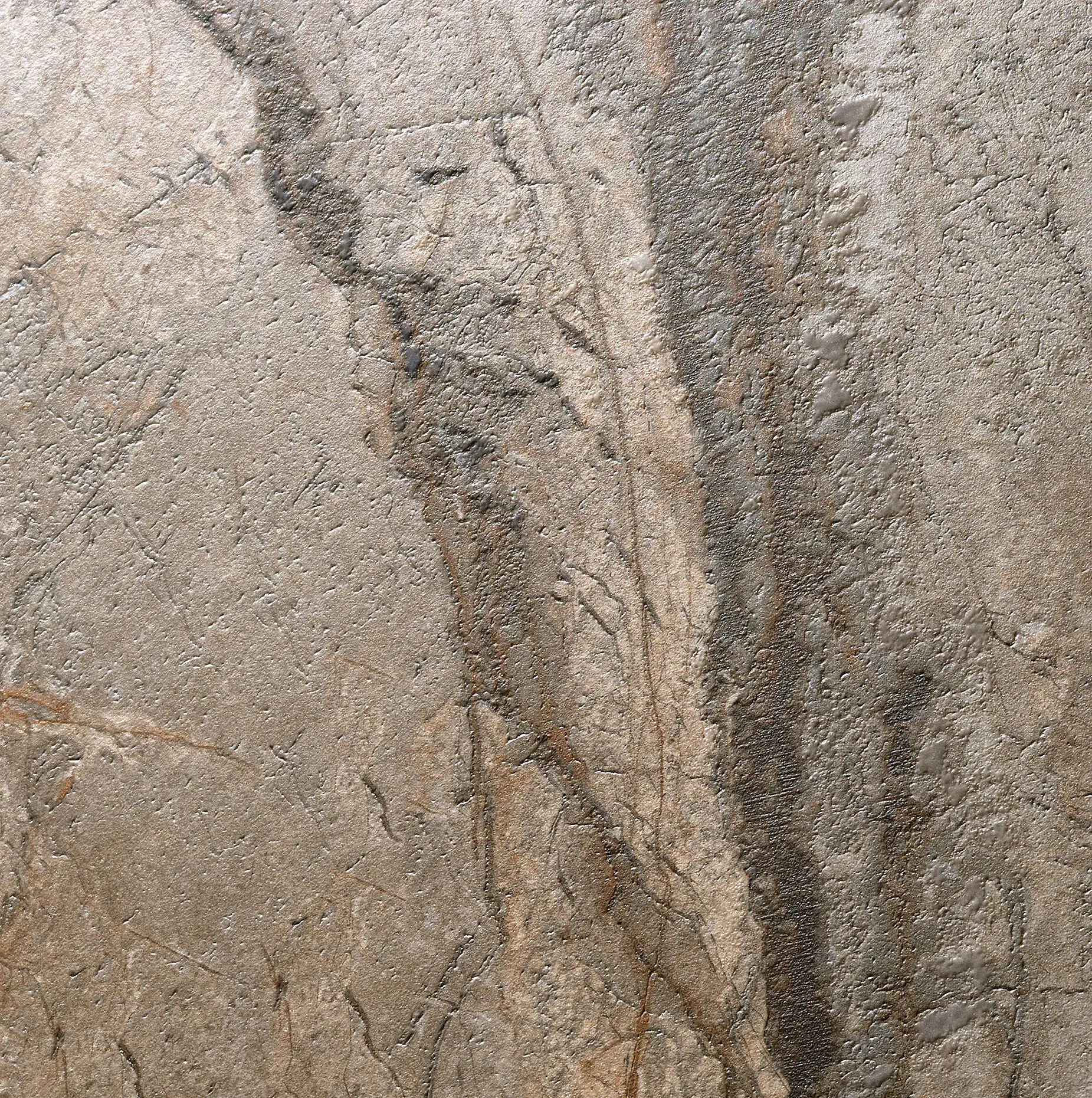 311B13Q641_SilverRootsMattRet Revigres Silver Roots