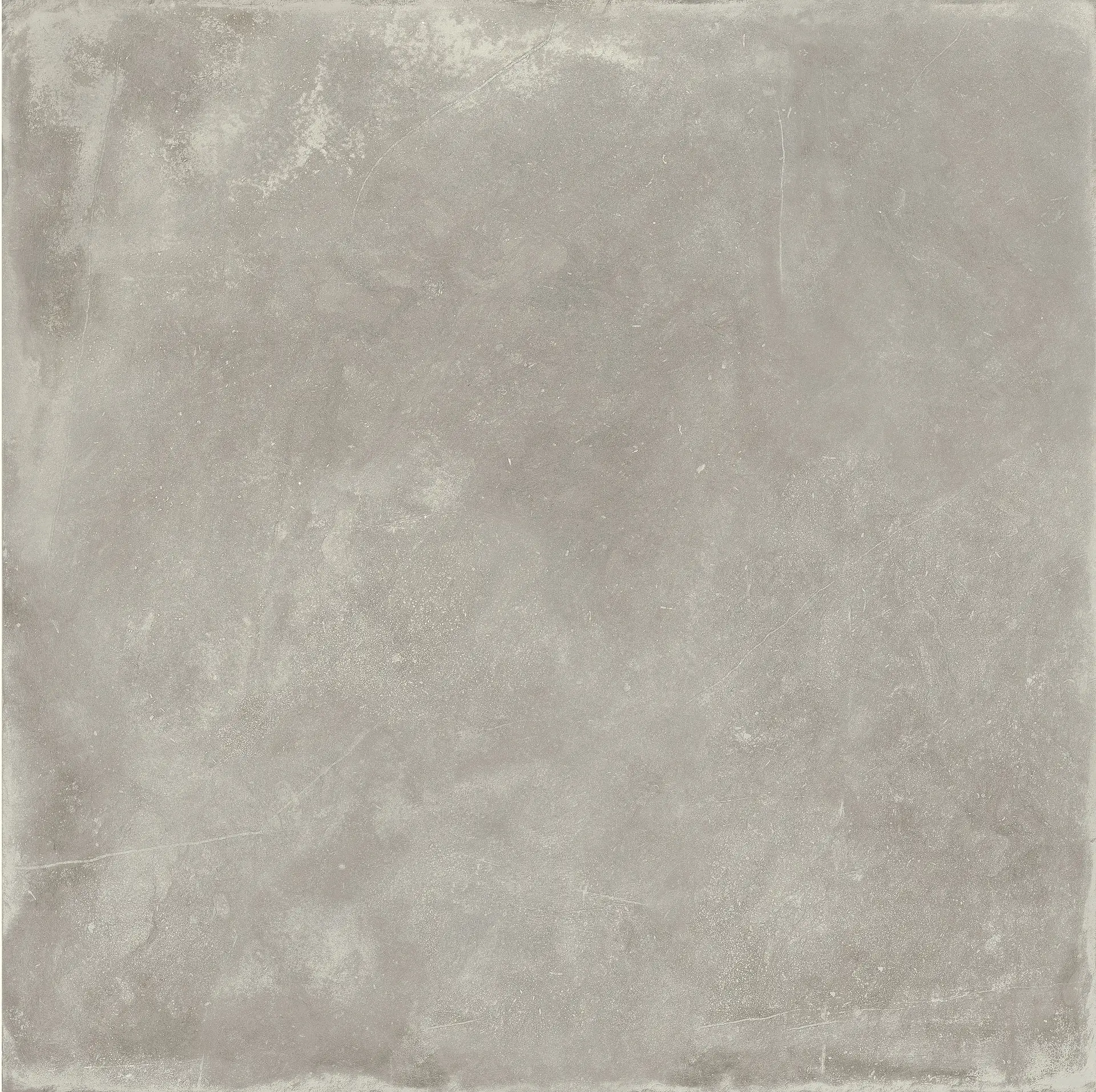 0591746_CocoonDoveRt Ricchetti Cocoon