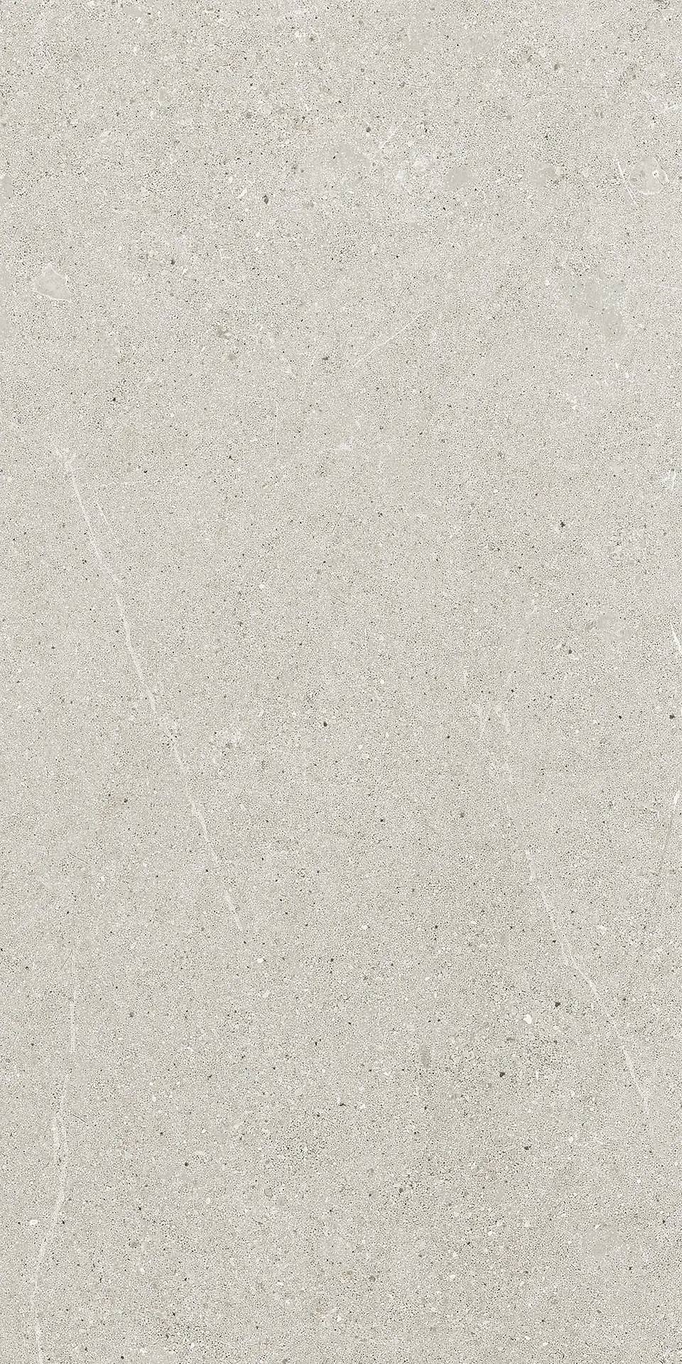 0163444_LightGreyNtRt Ricchetti Ease/22