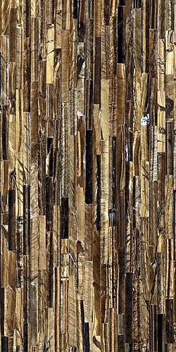 Roberto Cavalli, The Wild Spirit, 0502013_PreciousStone-TigerGold