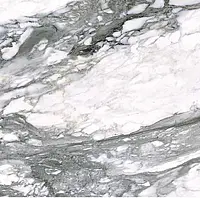 0500849_Calacatta Renoir Lx Rt Roberto Cavalli The Wild Spirit