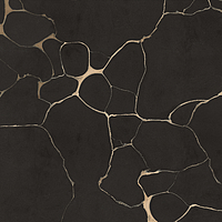 0502123/B_Tws Clay Dark Nt Rt Roberto Cavalli The Wild Spirit