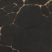 0502123/B_Tws Clay Dark Nt Rt Roberto Cavalli The Wild Spirit