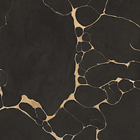 0502123/B_Tws Clay Dark Nt Rt Roberto Cavalli The Wild Spirit