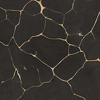 0502123/B_Tws Clay Dark Nt Rt Roberto Cavalli The Wild Spirit