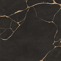 0502123/B_Tws Clay Dark Nt Rt Roberto Cavalli The Wild Spirit