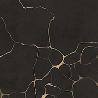 0502123/B_Tws Clay Dark Nt Rt Roberto Cavalli The Wild Spirit