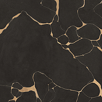 0502123/B_Tws Clay Dark Nt Rt Roberto Cavalli The Wild Spirit