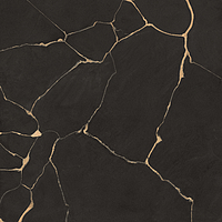 0502123/B_Tws Clay Dark Nt Rt Roberto Cavalli The Wild Spirit