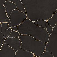 0502123/B_Tws Clay Dark Nt Rt Roberto Cavalli The Wild Spirit