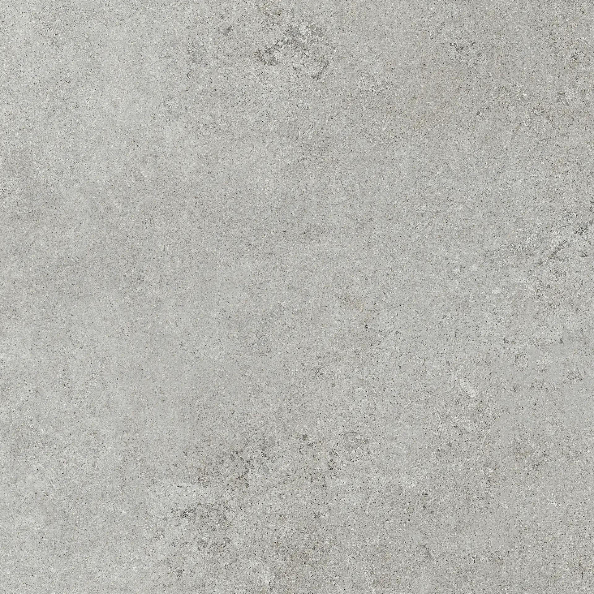 FDB7ANF021_7LimestoneGrisr Roca Limestone