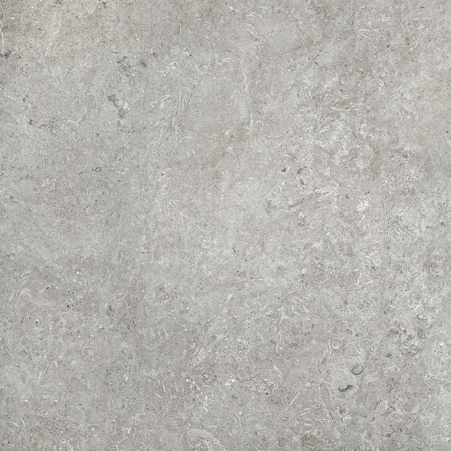 FDB7A60021_LimestoneGrisr Roca Limestone