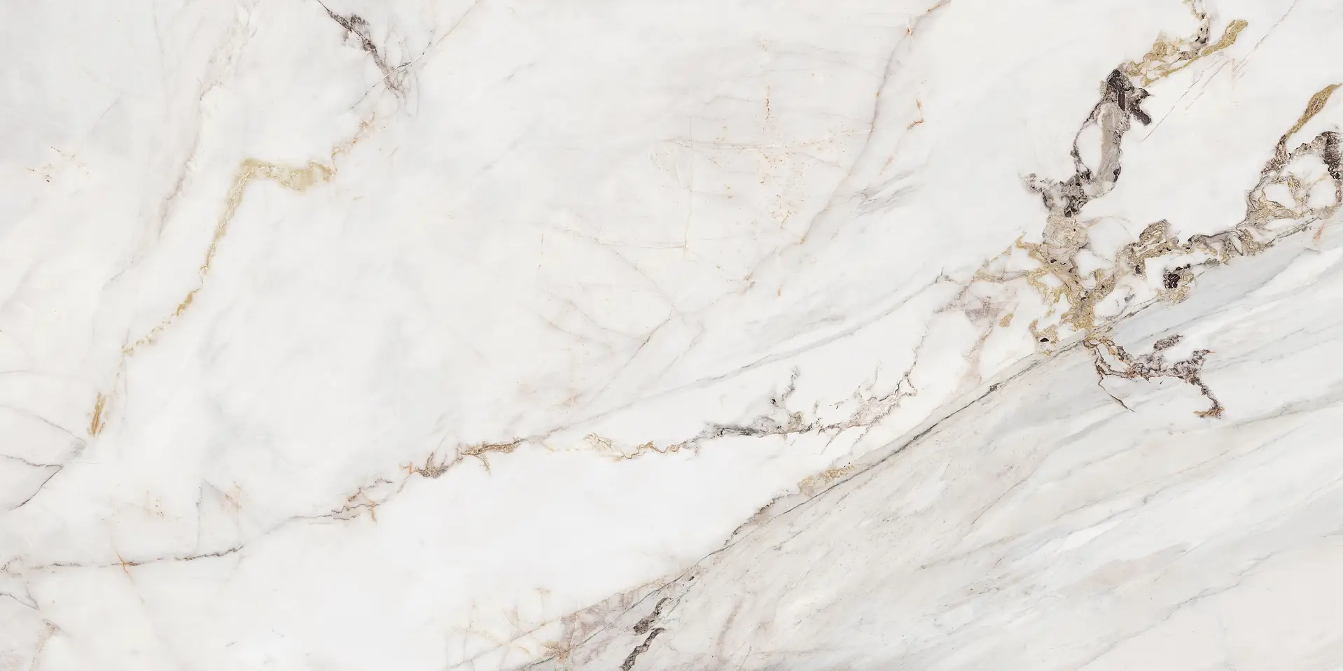 F1G7E54011_F MARBLE APUANO R PULIDO Roca Marble Apuano