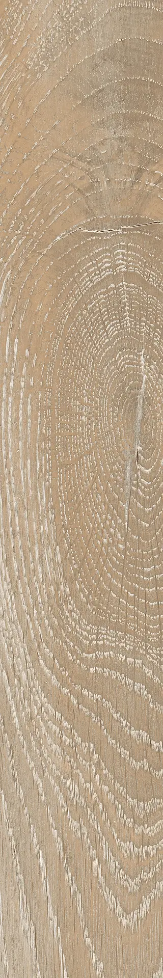 J92442_CortinaHoney Rondine Cortina