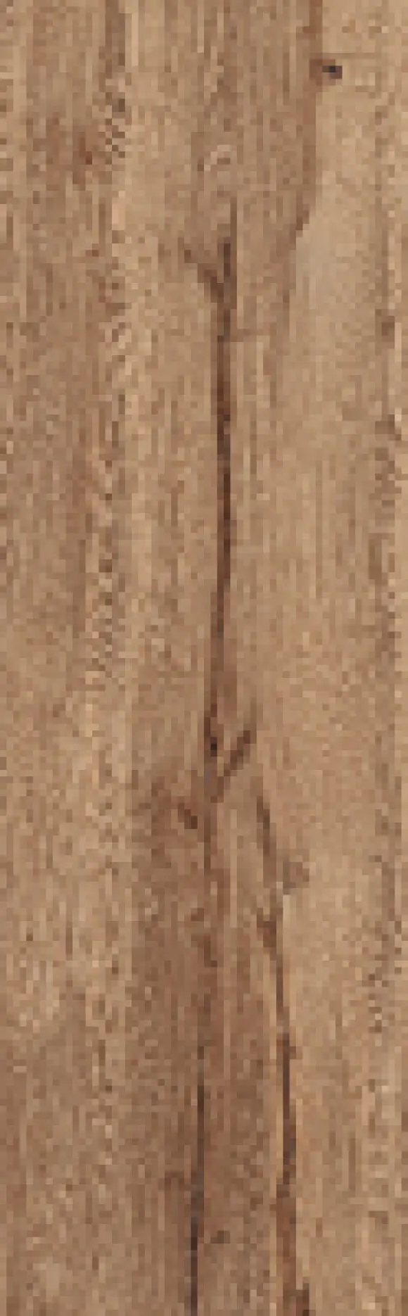 J88812_DaringNut Rondine Daring