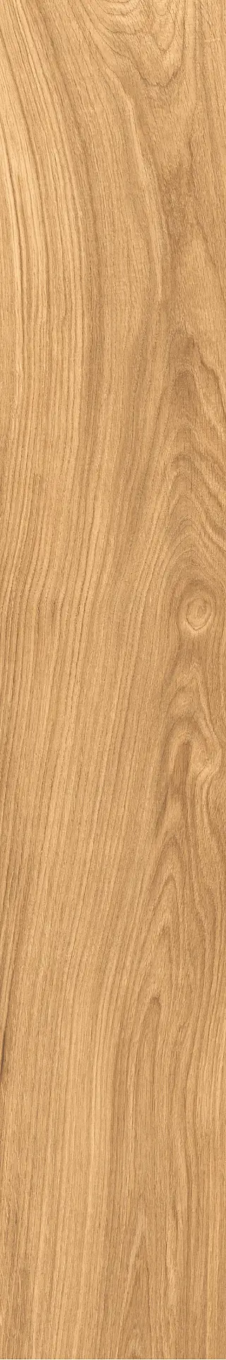 J91638_DreamNutRett Rondine Dream