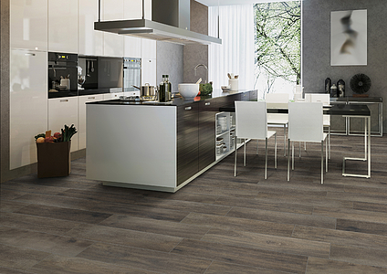 Greenwood Porcelain Tiles produced by Ceramica Rondine, Wood effect