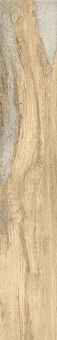 Ceramica Rondine, Infusion, J90220_InfusionBirch
