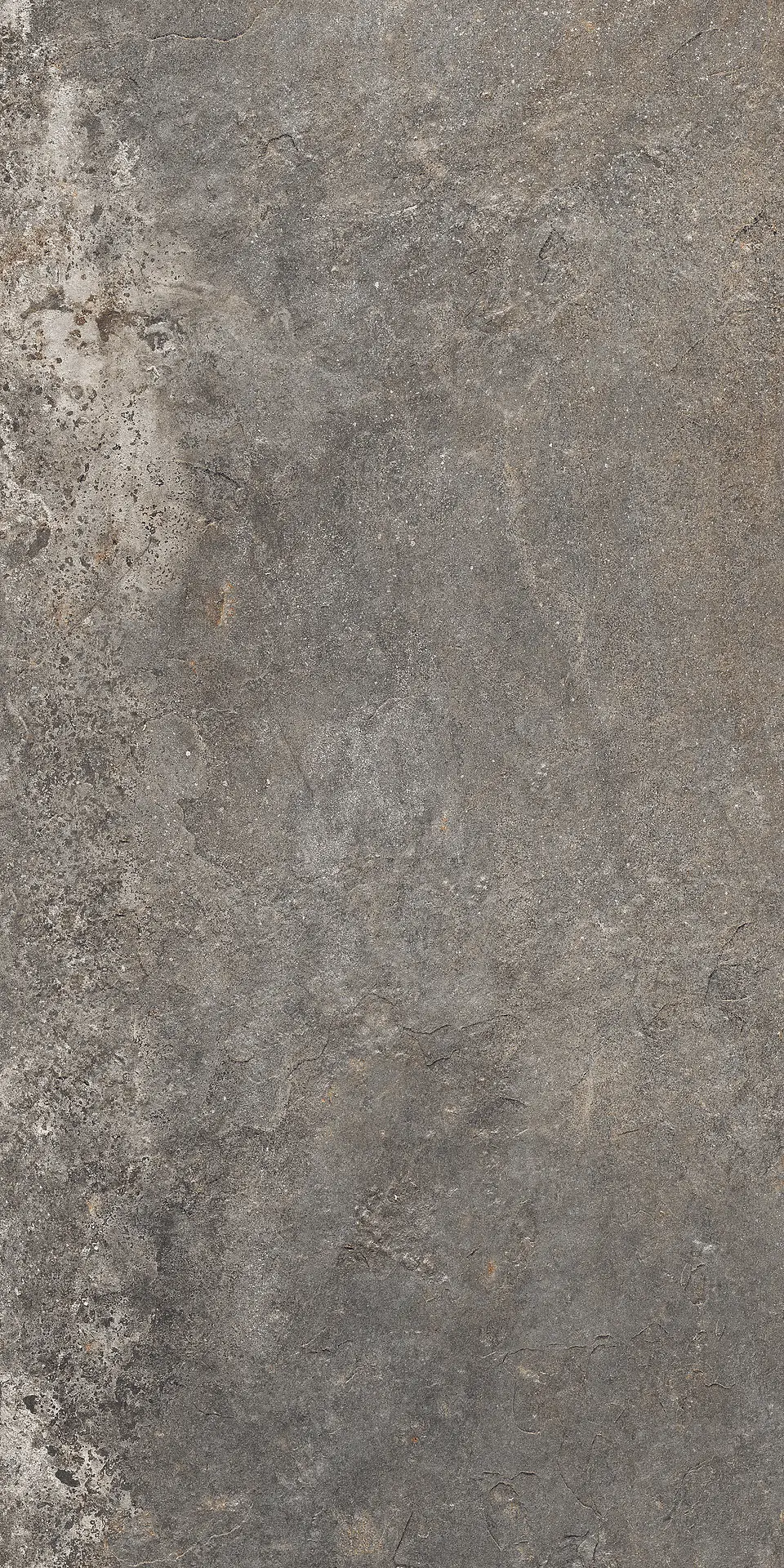 J89422_MulticolorRett Rondine Provence