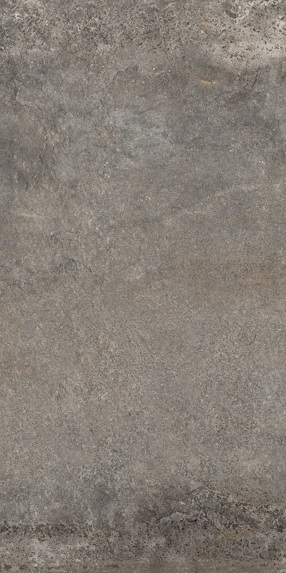 J89557_MulticolorStrong Rondine Provence