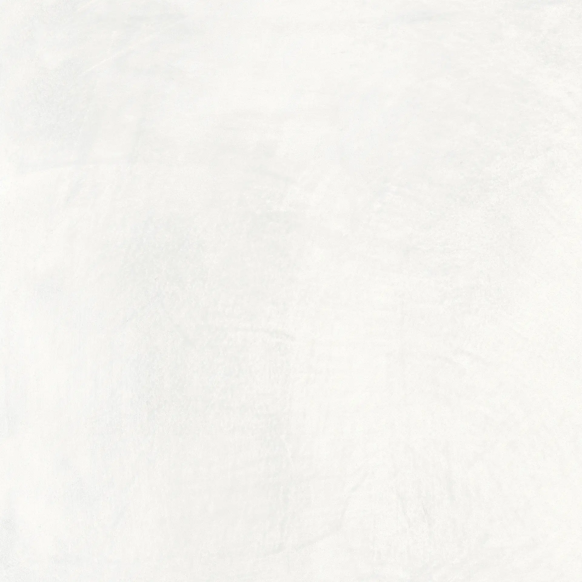 J91434_SetaBiancoRett Rondine Seta