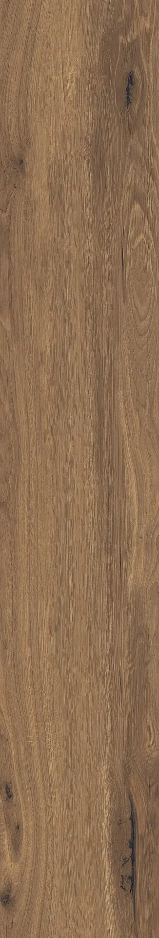 J90472_TimelessNut Rondine Timeless