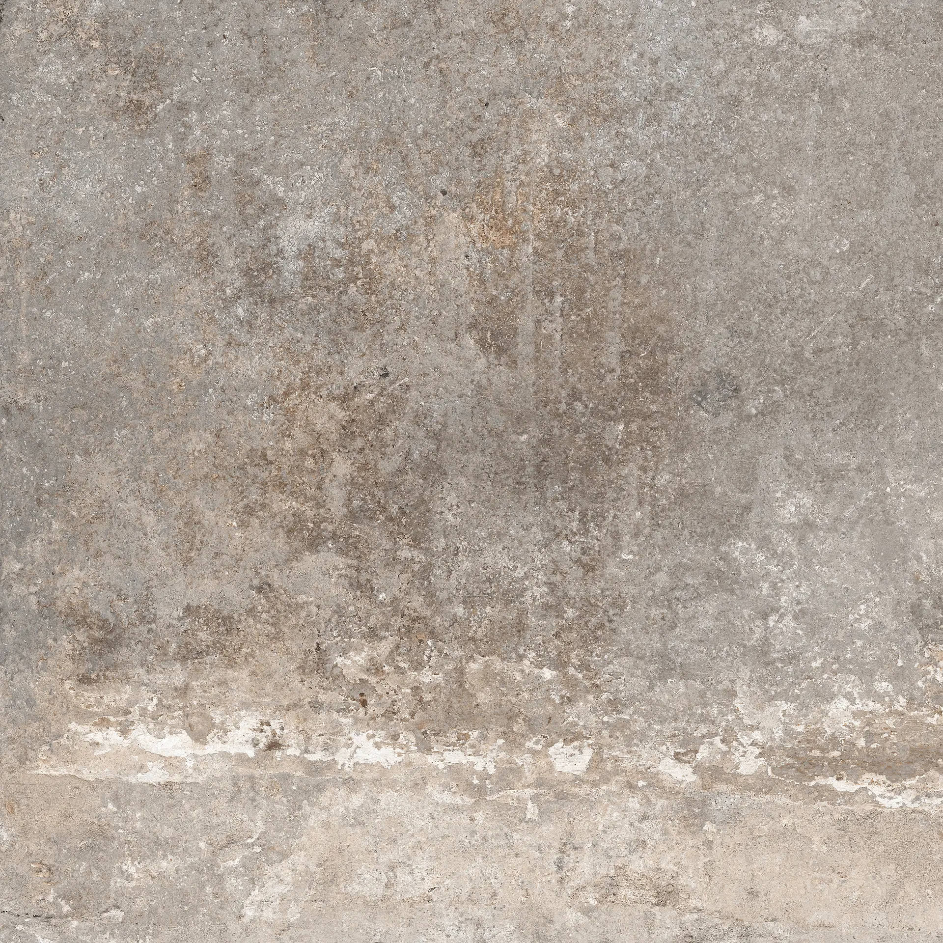 J92117_WindsorTaupe Rondine Windsor