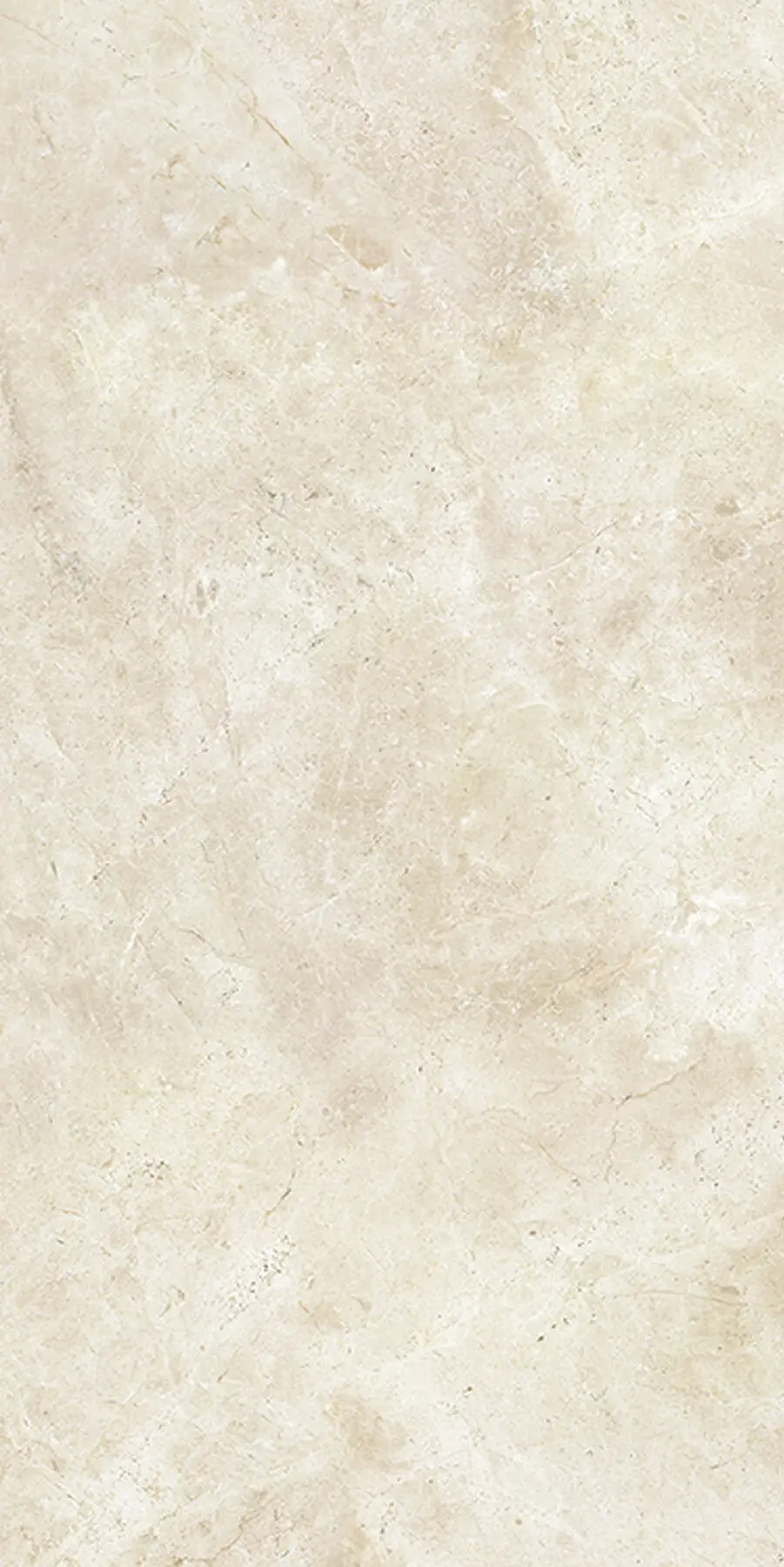 8600149_CAMAIORE LUC RET Saime Cave