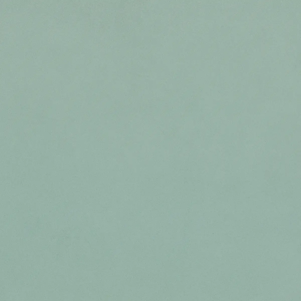 T622935_IColori+SalviaRet Saime I Colori+