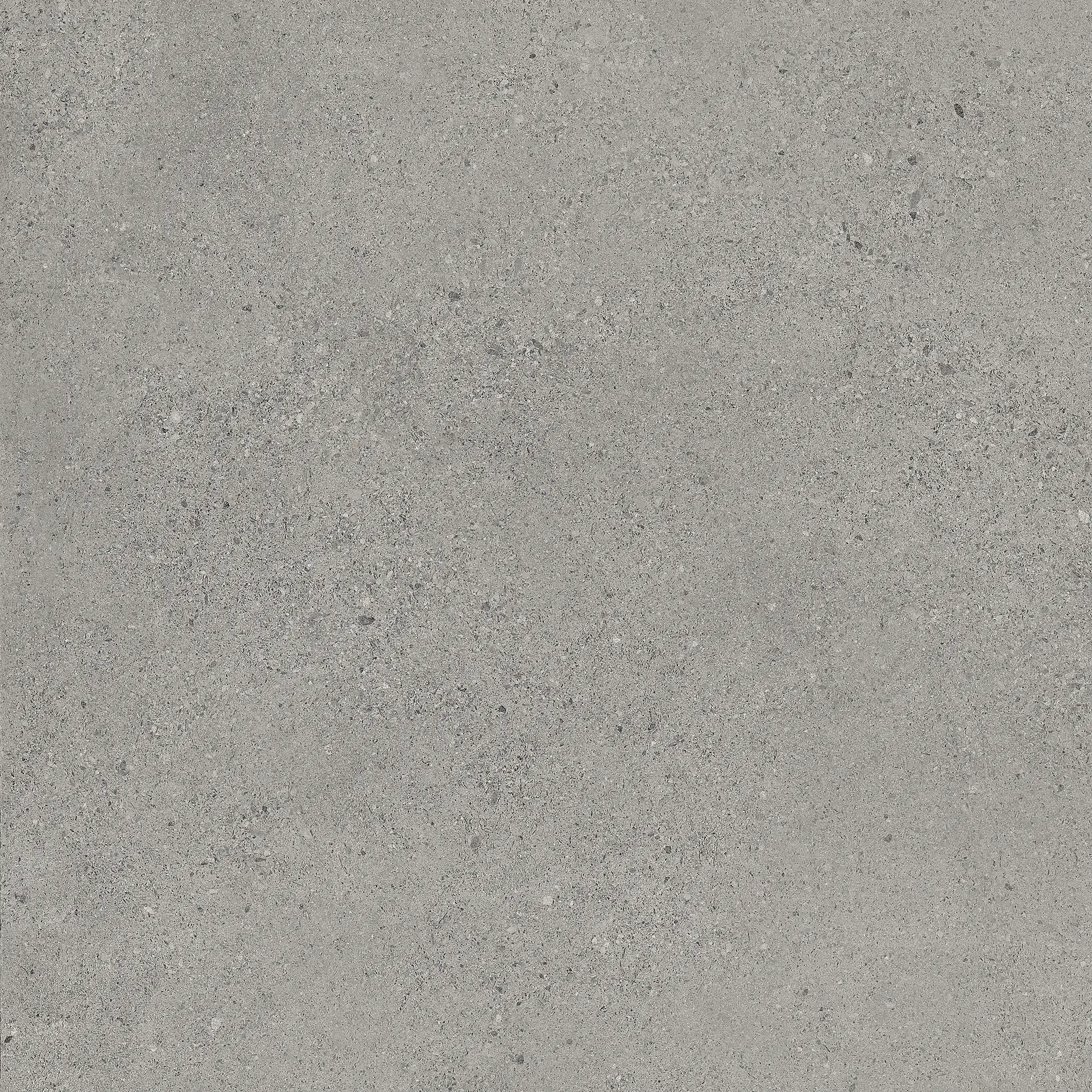 CSALGY6060_LogicoGrey Sant&prime;Agostino Logico