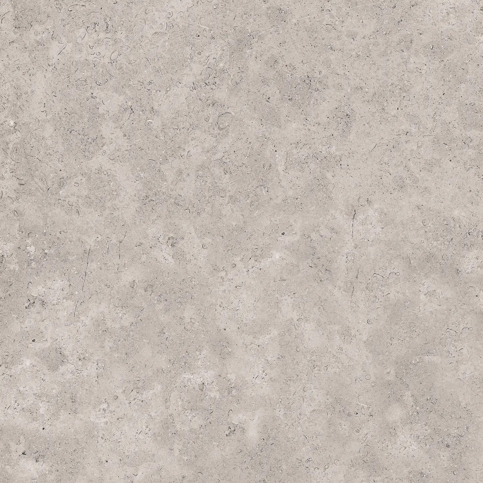 CSACEGR660_Unionstone2CedreGrey Sant&prime;Agostino Unionstone 2