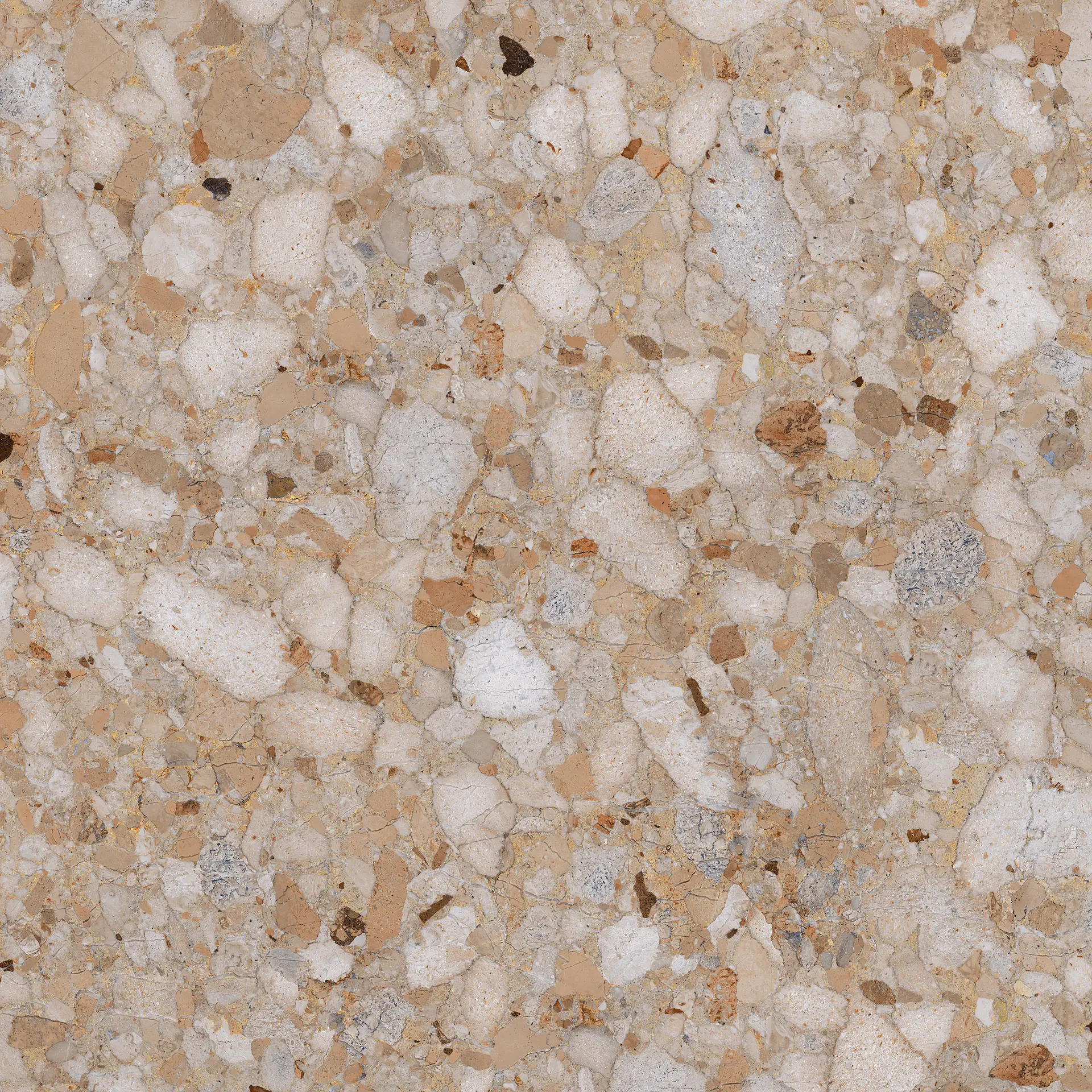 CSAVDK1212_VenistoneGoldKry Sant′Agostino Venistone
