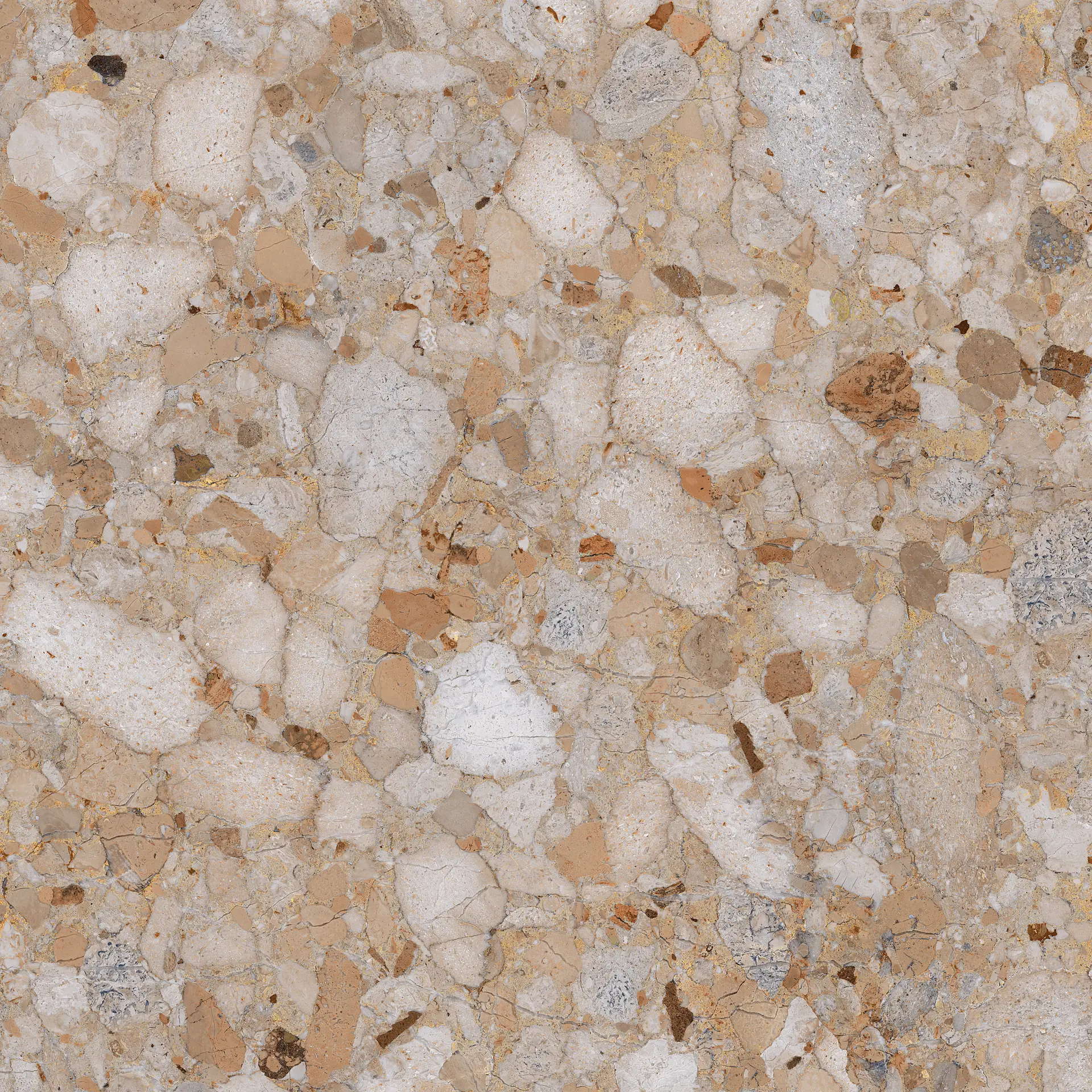 CSAVEGDK89_VenistoneGoldKry Sant′Agostino Venistone