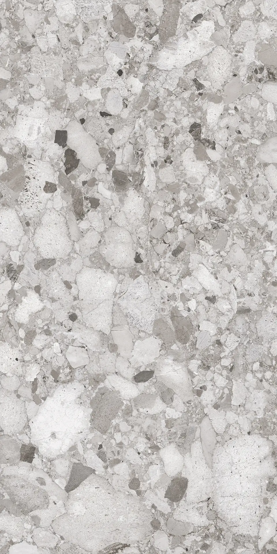 CSAVGYA212_VenistoneGreyAs2 Sant′Agostino Venistone