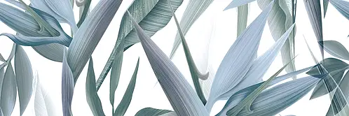 Savoia Italia Ceramica, Nuance, SNUAR11_NuanceFloralAcquaMatt