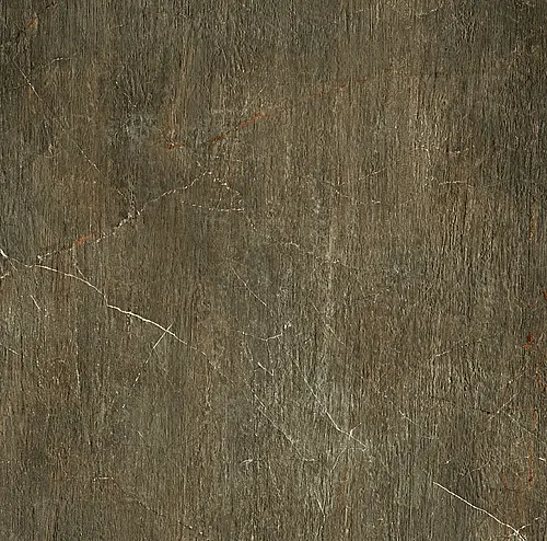 Serenissima Ceramiche, Fossil, 1066578_Fossil.BrunoRet