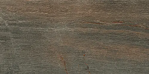 Serenissima Ceramiche, Fossil, 1066586_Fossil.BrunoRet