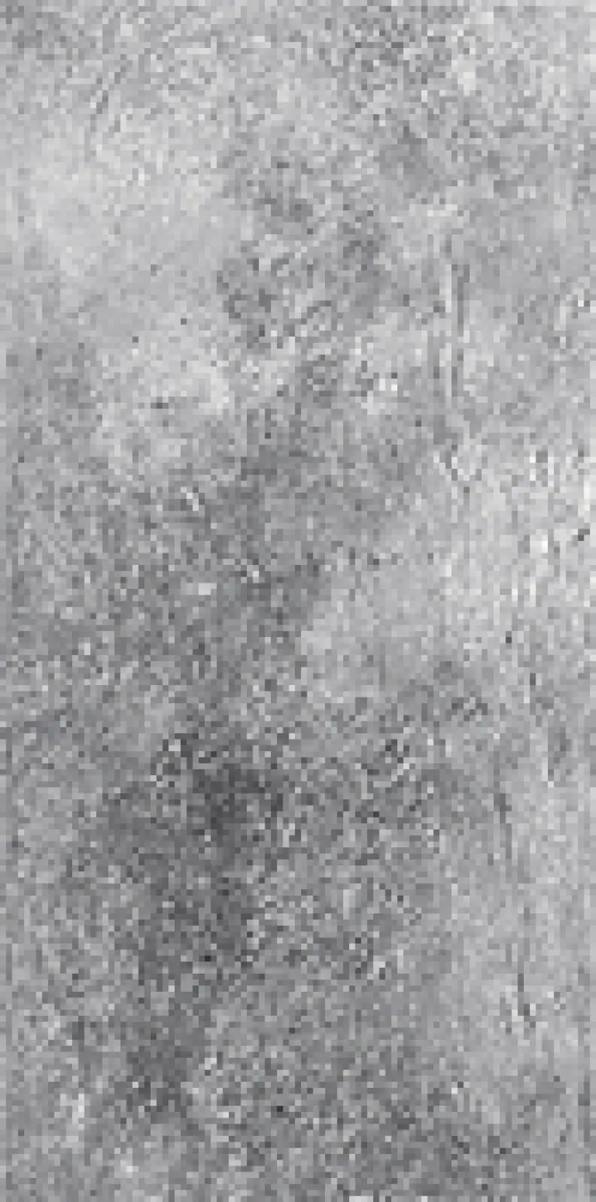 B79515_Grigio Settecento Azteca