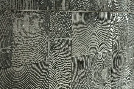 Koristelaatta, Teema puu, Väri musta väri, Lasitettu porcellanato-laatta, 24x72 cm, Pinta puolikiillotettu (lappato)