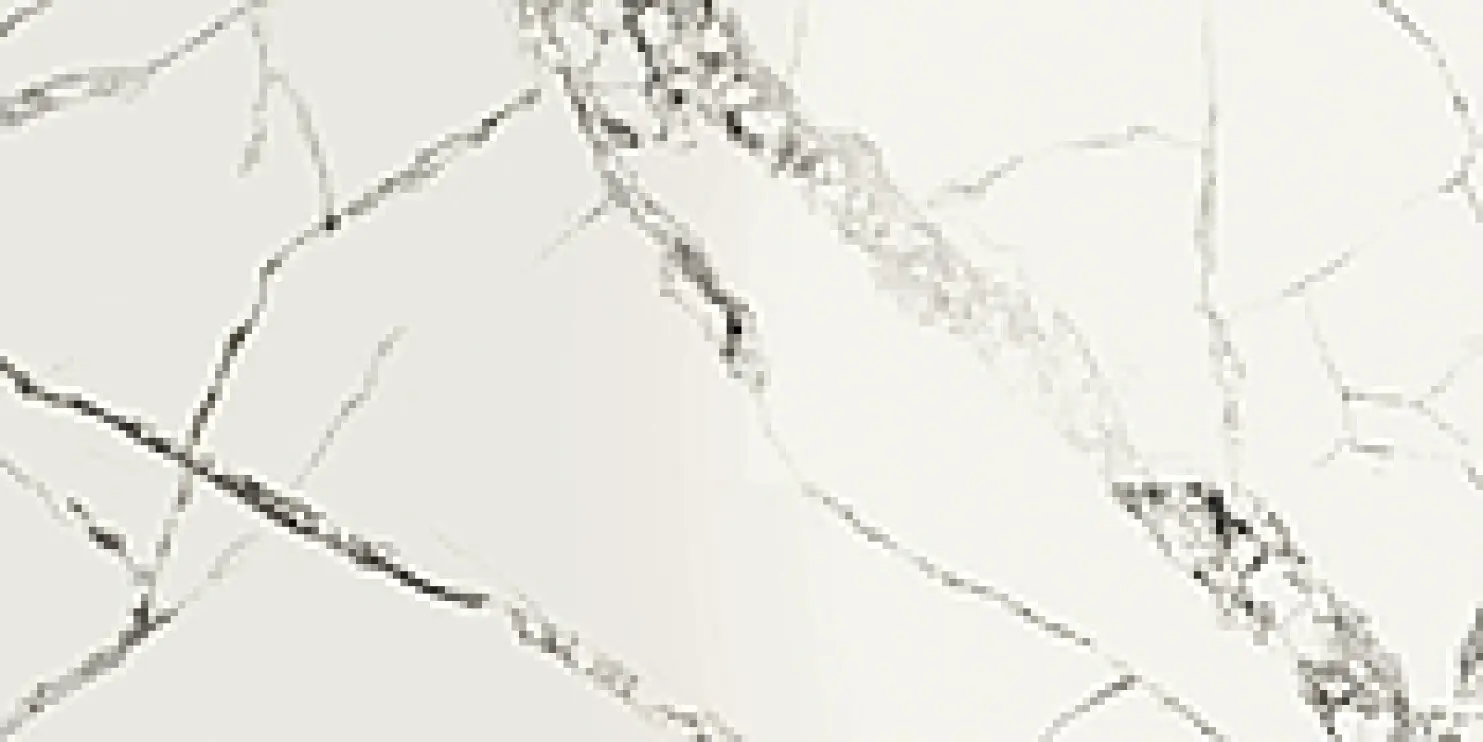 156051_ReverseArticLappato Settecento Reverse