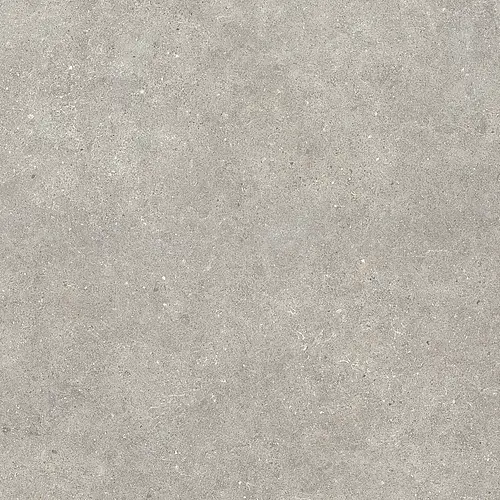 Sichenia, Ar_Gent, 184463_GreigeRett