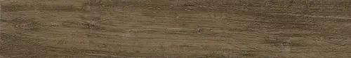 Sichenia, Silvis, 181675_Noceret.Est.