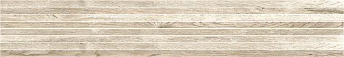 Sichenia, Silvis, 183401_Acerofascia
