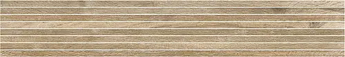 Sichenia, Silvis, 183402_Roverefascia