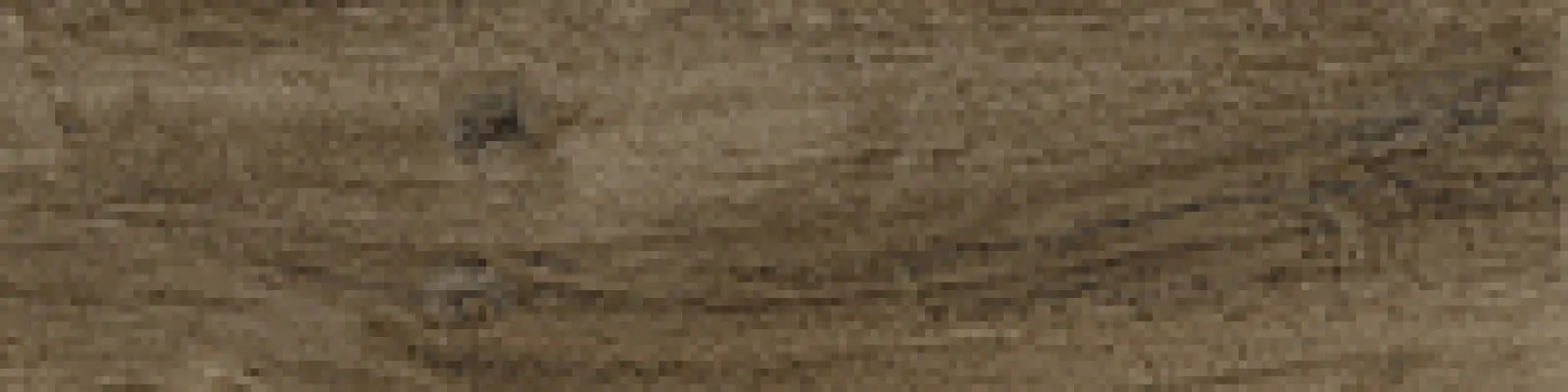 181645_Noceret Sichenia Silvis