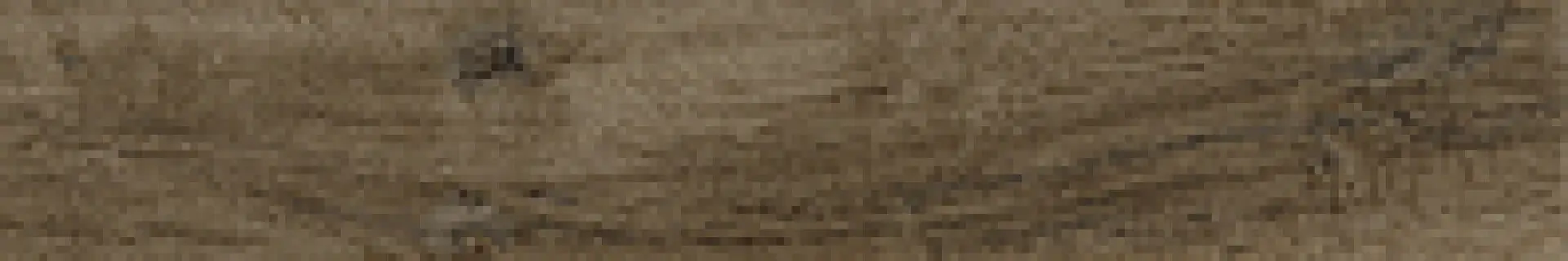 181655_Noceret Sichenia Silvis