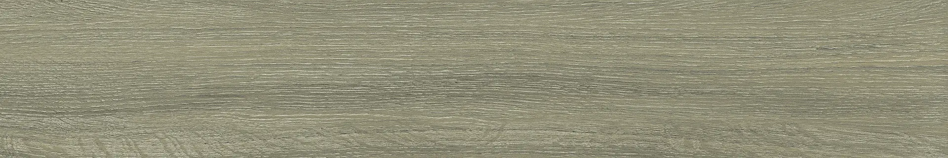 187985_Sage Sichenia Tronçais