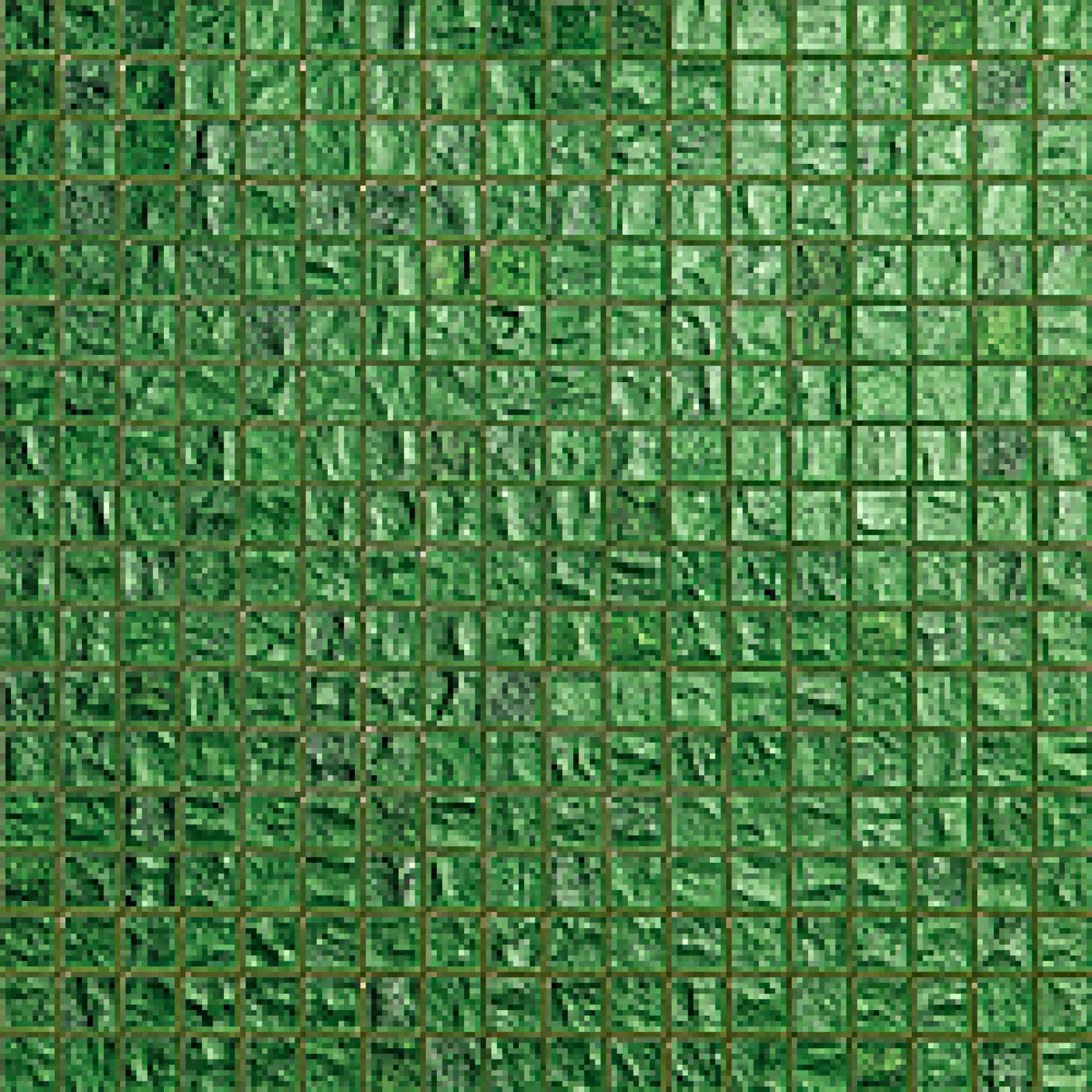 Shamrock Sicis Colibrì
