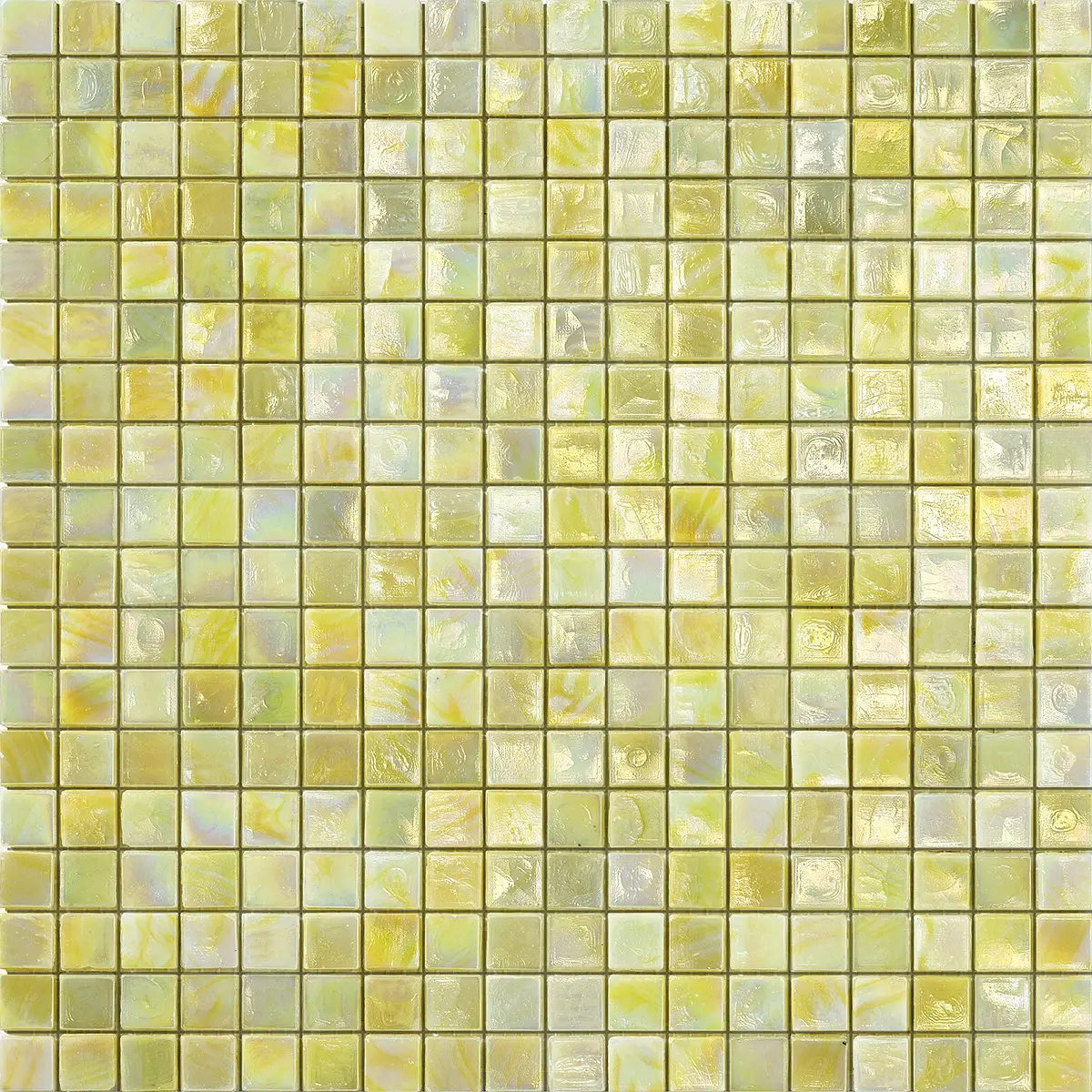 Tulip 3 Sicis Iridium